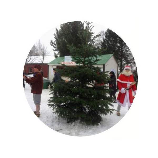 Familie juletræsarrangement 1 - ”Det årlige, hyggelige julearrangement”